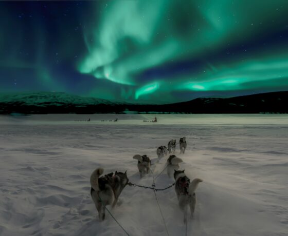 capodanno a rovaniemi